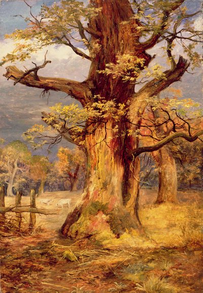 Blasted Oak, Galloway door James Jnr Faed